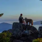 Bergwandelen hond