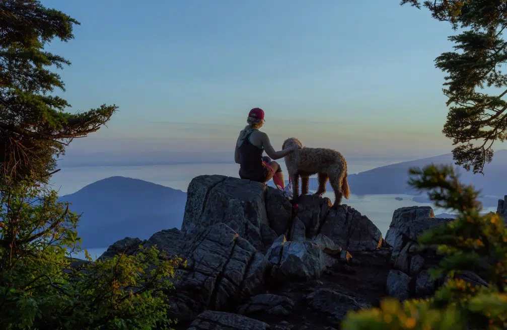 Bergwandelen hond